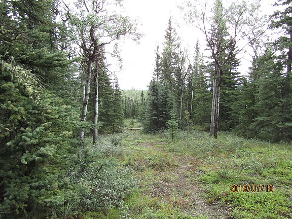 2nd image of 5439 Alaska Hwy