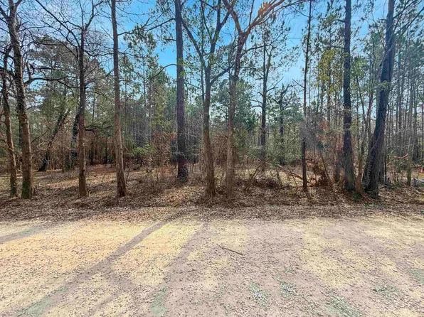 9220 Wingfield Dr, Lumberton, TX 77657