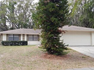 705 Isleton Dr, Brandon, FL 33511