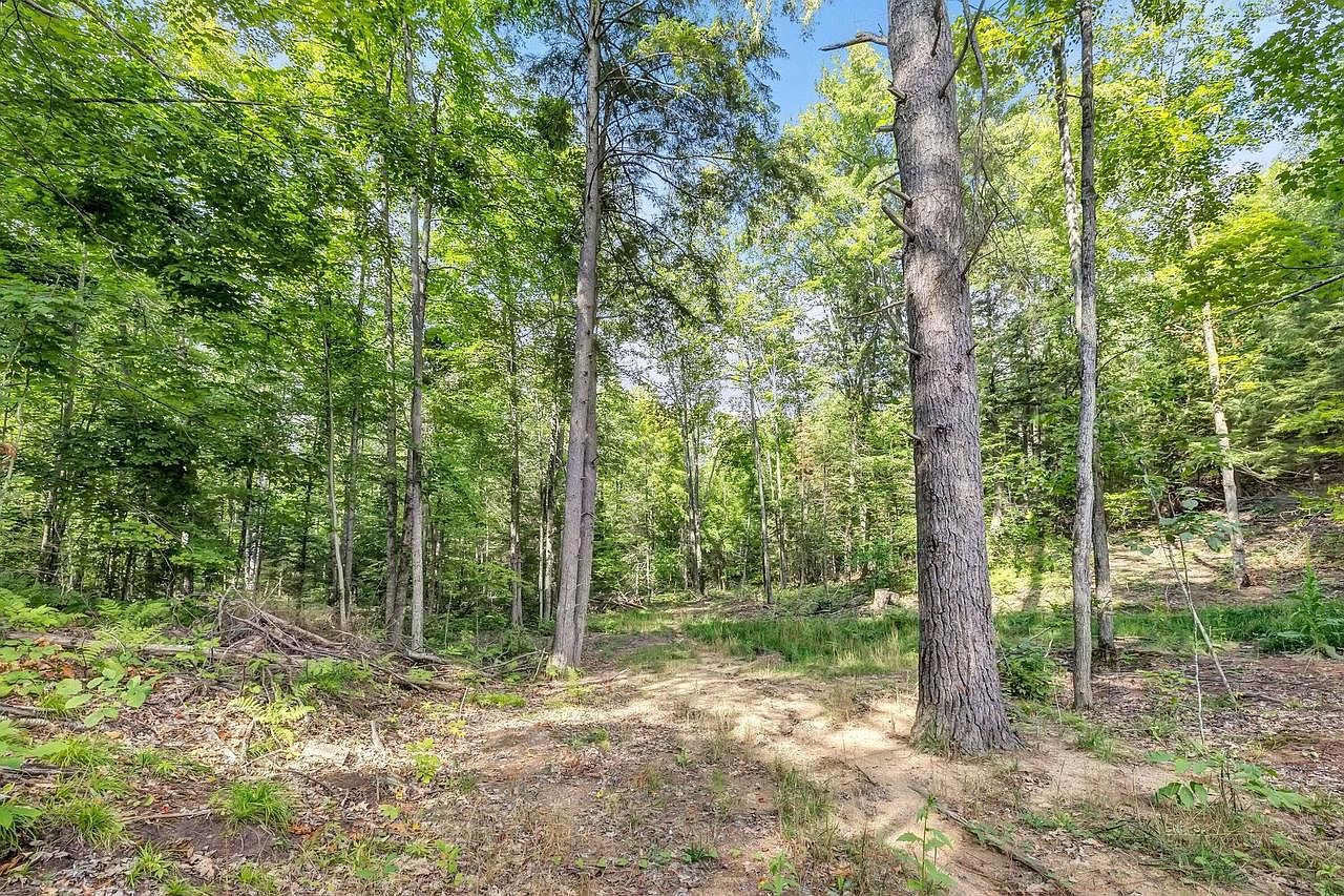 Lt3 TRAXELS POINT LANE, White Lake, WI 54491 | MLS #1863740 | Zillow