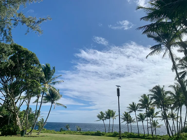 Just a short walk from the house