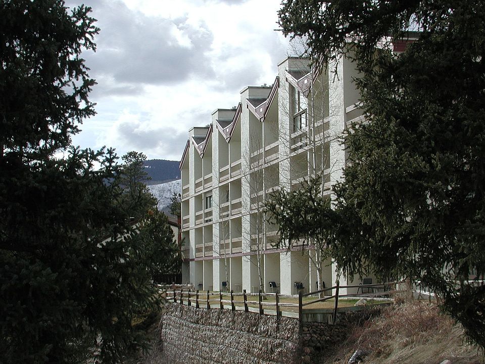 The Wren: View from stream