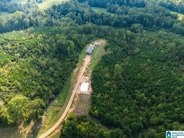28 County Road 63, Ranburne, AL 36273