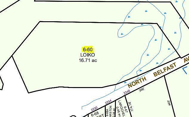 2nd image of 0 Map 6 Lot 60 N Belfast Avenue