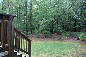 Wooded Back Yard