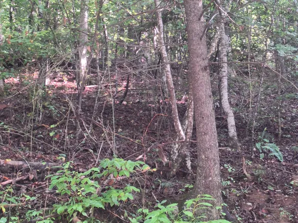 0 Coopers Creek Rd, Suches, GA 30572