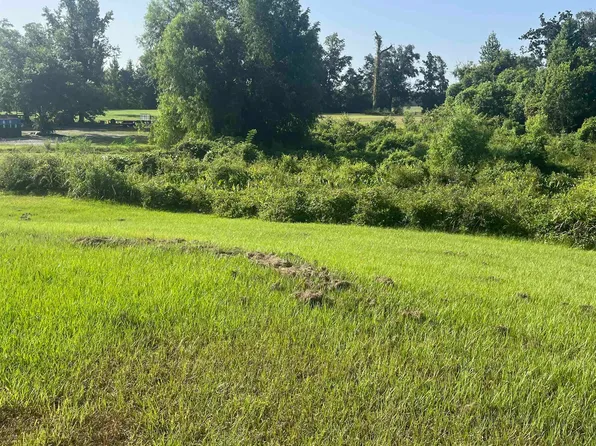 22718 Hoo Shoo Too Rd, Baton Rouge, LA 70817