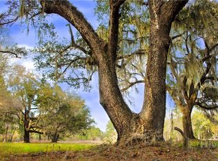 1 Williams 36 Lots 95 Acres, Retreat Savannah, GA 31419