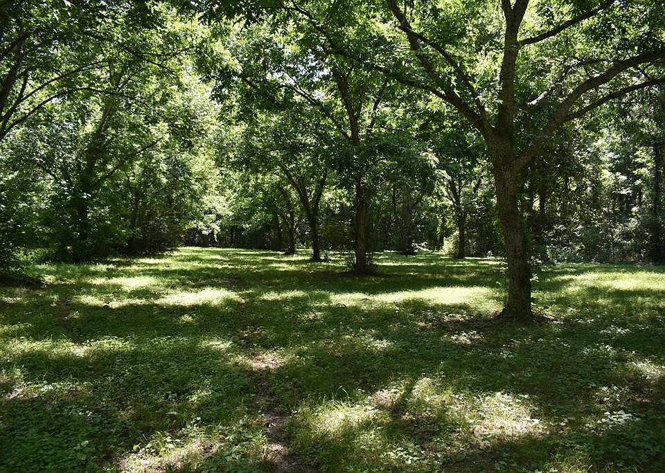 2nd image of LOT 2 Highway 129