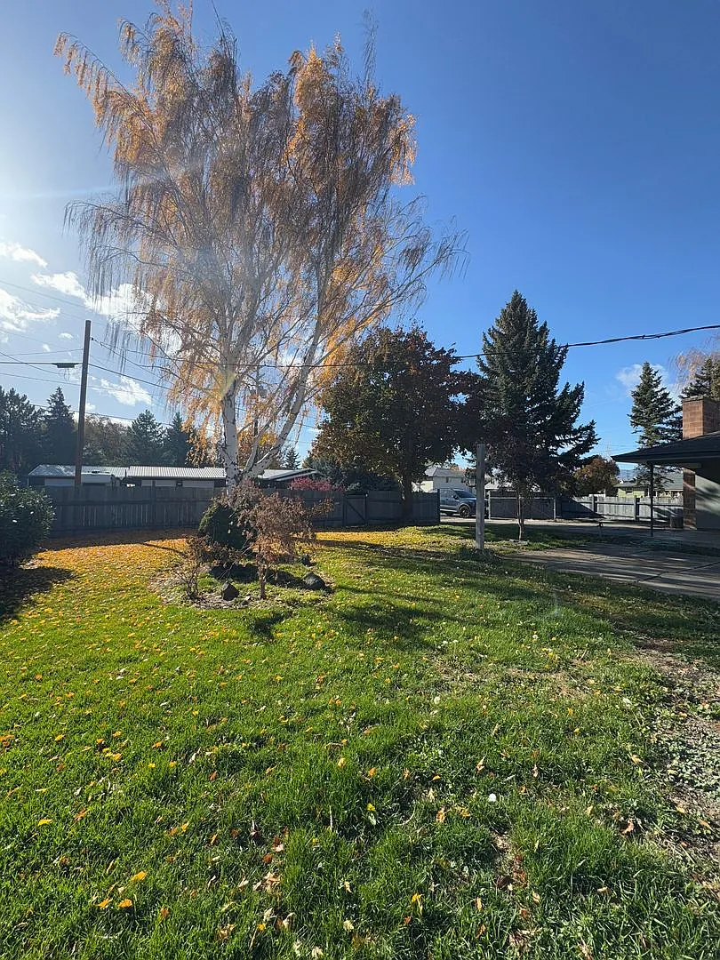 Expansive Updated Home with Creek Views & Prime Location — Photo 4
