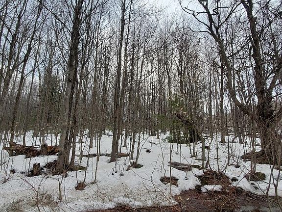 2nd image of M19 Lot30 Seminole Drive