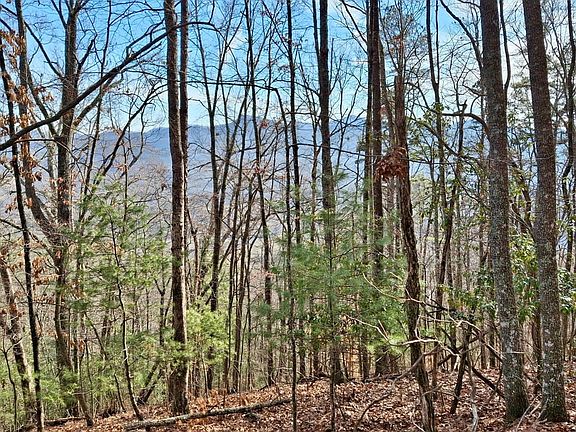 20260205 154614moses