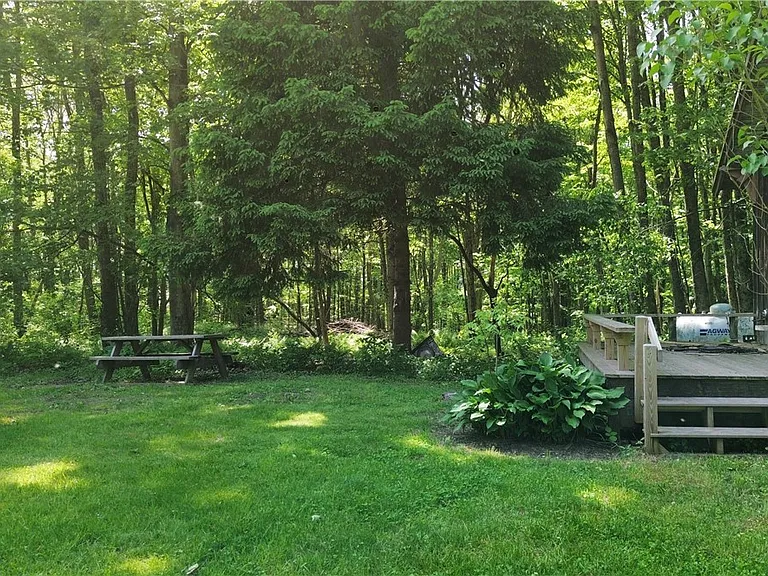 7481 Hoffman Rd — Photo 29
