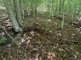 0 Suttons Rd, Sevierville, TN 37876