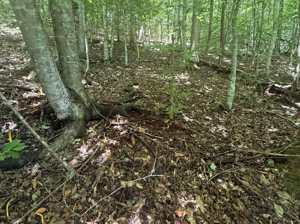 0 Suttons Rd, Sevierville, TN 37876