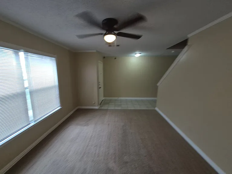 8007 Chestnut Bluff Dr — Photo 8