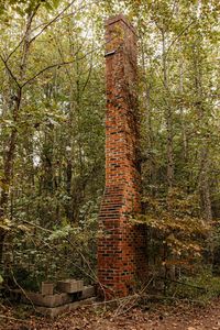 25 Sandy Ridge Rd, Campton, KY, 41301