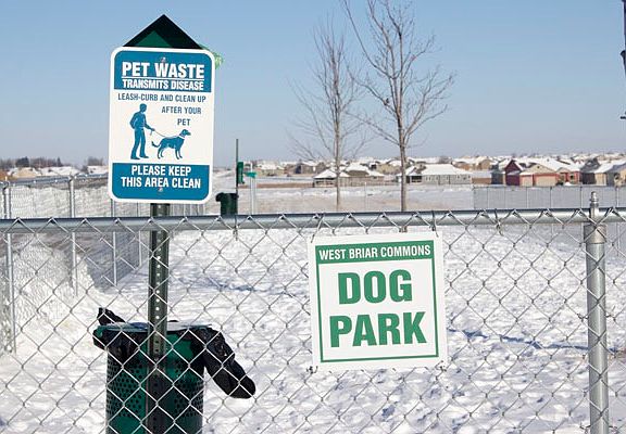 Dog Park