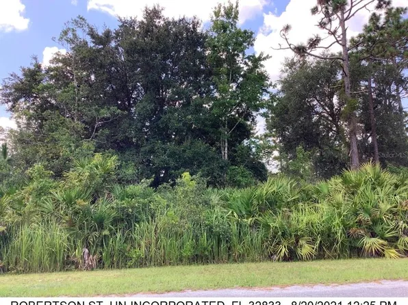Robertson St Lot 13, Orlando, FL 32833