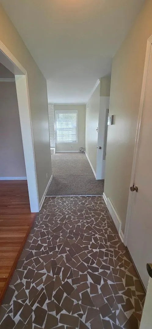 523 Shofner Dr — Photo 3
