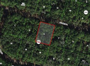 1322 E Urmey Pl, Citrus Springs, FL 34434