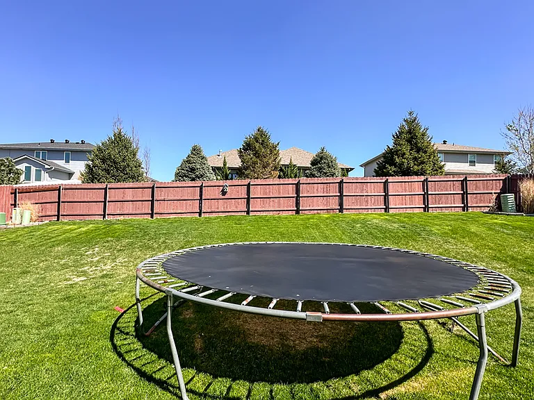 Fenced Back Yard