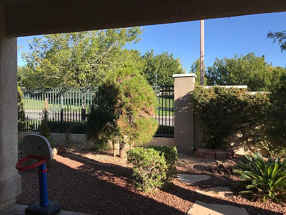 back yard