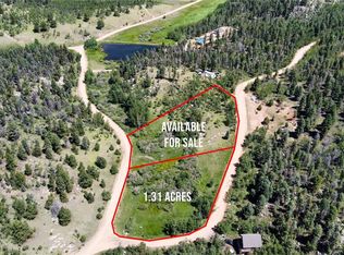 43 Eagle Rock Rd #413, Florissant, CO 80816