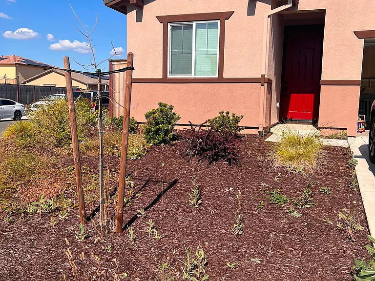 4401 Arctic Tern Way — Photo 2