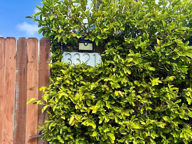 3321 Harriet Ave — Photo 10