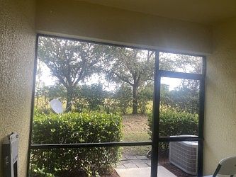 Back yard. Well-maintained with landscaping.