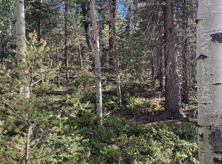 96 Wahsatch Rd, Florissant, CO 80816