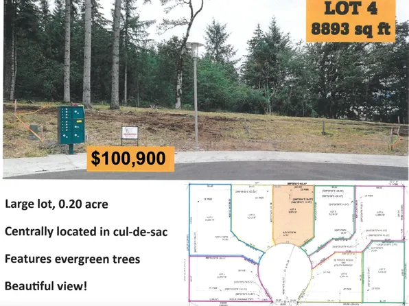 Strawberry Loop Lot 4, Sweet Home, OR 97386