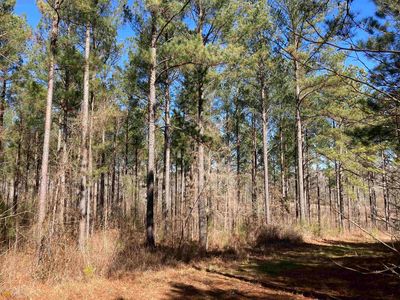 TRACT 14 Aqua Rd, Madison, GA, 30650