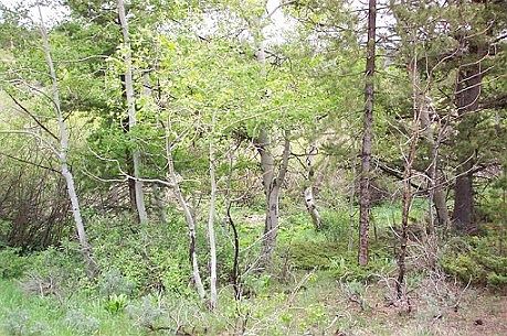 2nd image of 27 Cimarron Rd