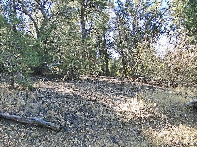 1st image of 102 Starr Dr