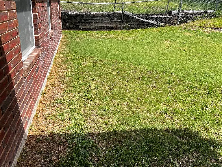 Fenced Back Yard