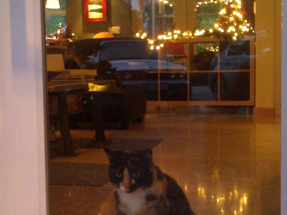 Victoria loves the view