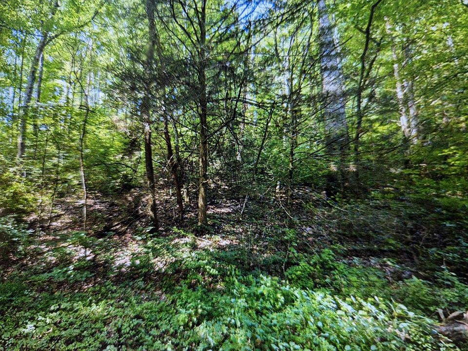 2nd image of 0 Bower Hollow Rd