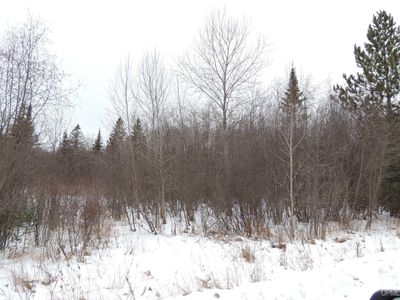 Squaw Creek 18th Rd, Rapid river, MI, 49878