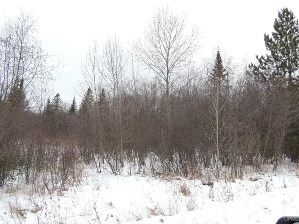 Squaw Creek 18th Rd, Rapid River, MI 49878