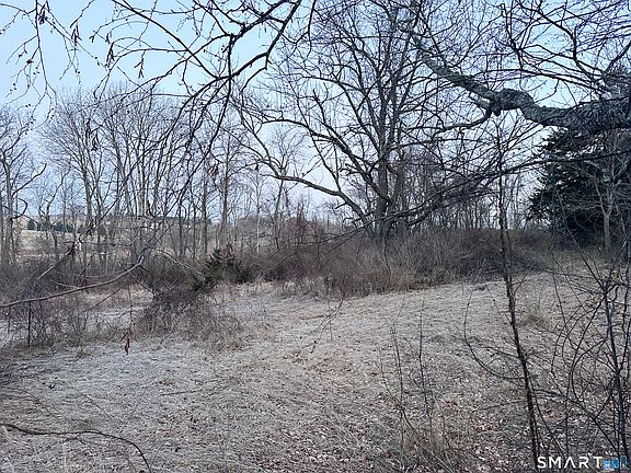 5th image of Millerton Road