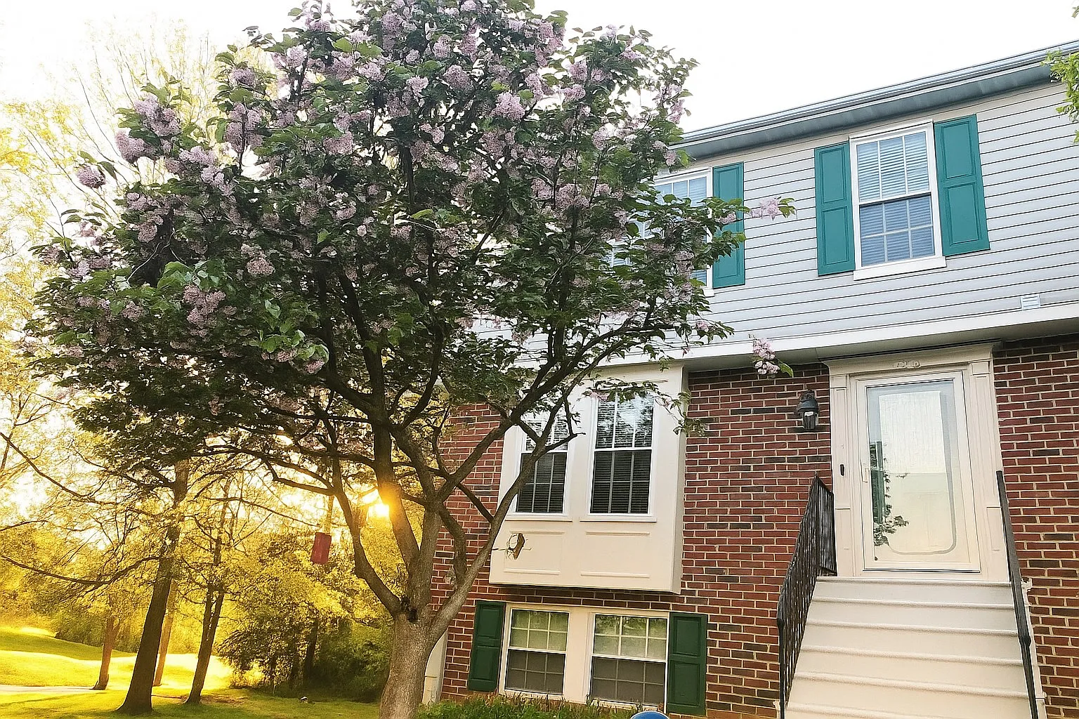 1514 Falstone Ln — Photo 1