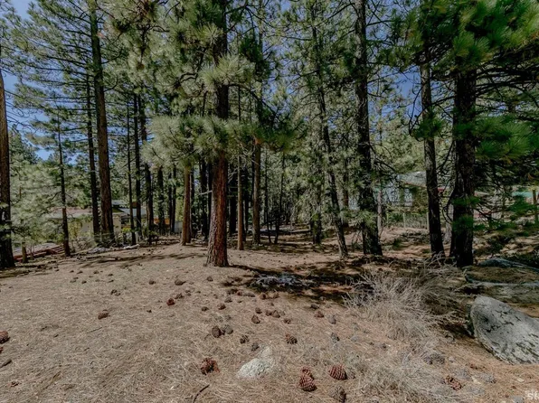 1442 Price Rd, South Lake Tahoe, CA 96150