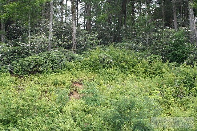 1st image of Lot 6 Shelton Place