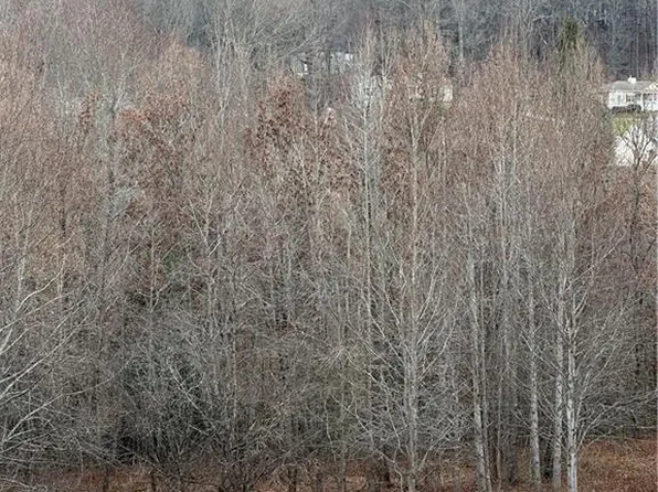 0 Highway 75 S, Cleveland, GA 30528