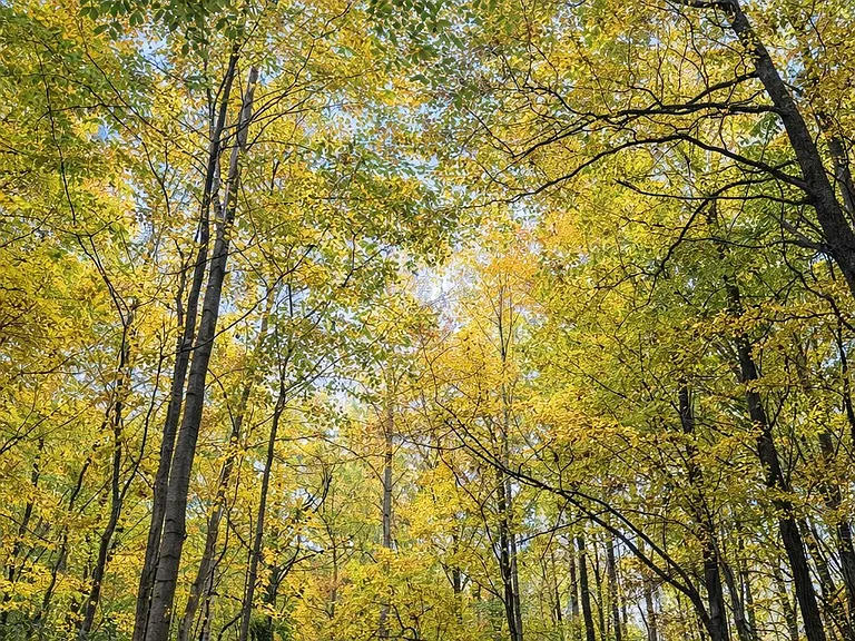 5725 Hartman Rd — Photo 12