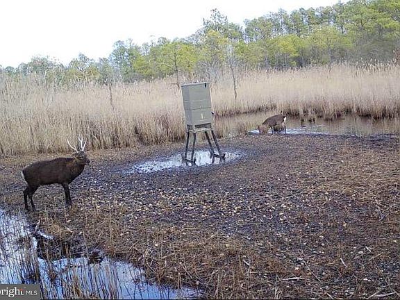 4th image of 7 Griffith Neck Rd