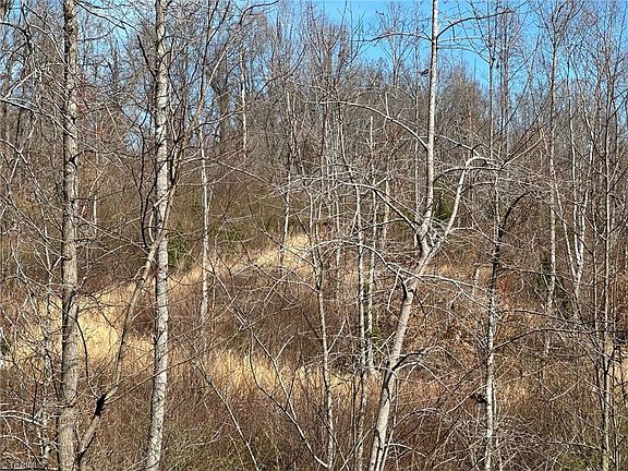 3rd image of 0 Swan Creek Byp