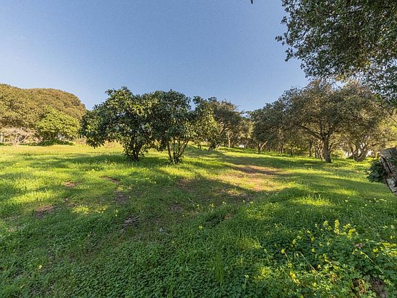 4th image of 16787 Blackie Rd